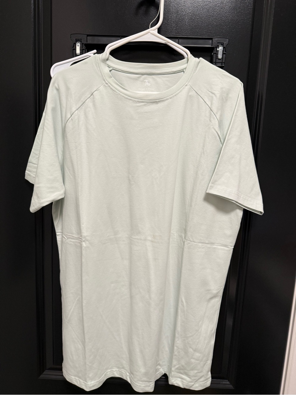 Men's Crew Neck T-Shirt in Light Mint Green